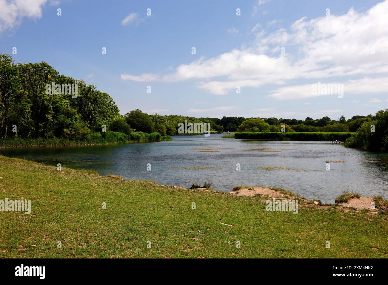 Lago Western Conservation - Cosmeston Lakes and Country Park, Penarth, Cardiff, Galles del Sud. Data: Luglio 2024 Foto Stock