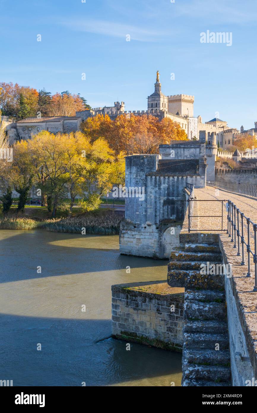 Avignone visse dal suo ponte Saint Benezet, famosa città papale medievale sul fiume Rodano in autunno, fotografia verticale scattata in Francia Foto Stock