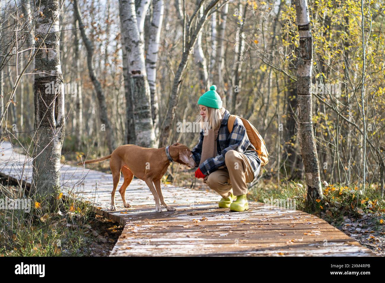 Una donna sorridente gioca, insegna comandi e dà spuntini al cane di razza Magyar Vizsla nei boschi Foto Stock