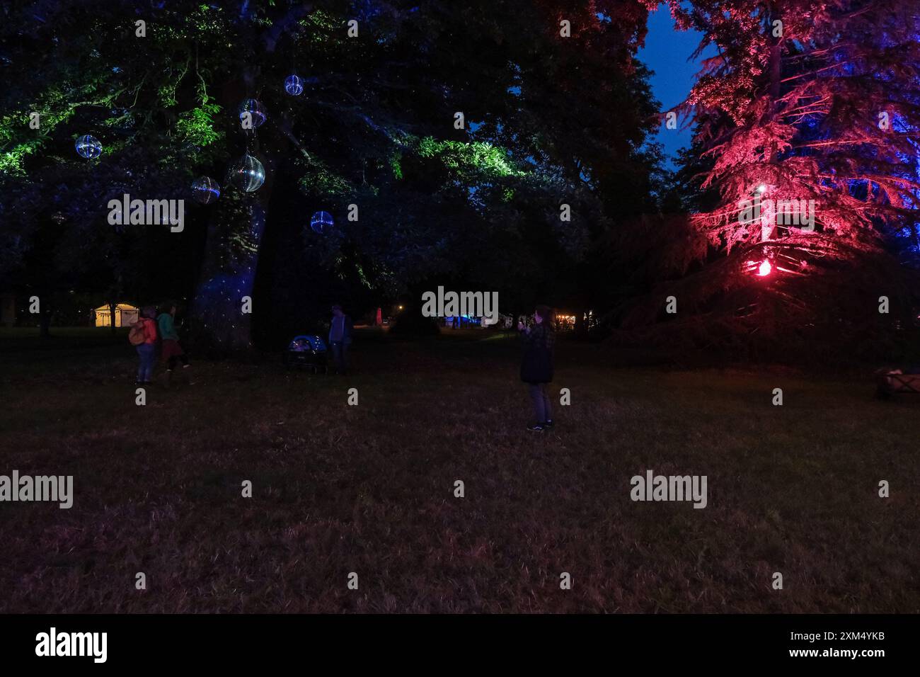 Malmesbury, Regno Unito. 25 luglio 2024. Atmosfera durante Womad - World of Music, Arts and Dance 2024. Gli alberi dell'arboreto sono illuminati in vari colori con palline scintillanti. Foto di Julie Edwards./Alamy Live News Foto Stock