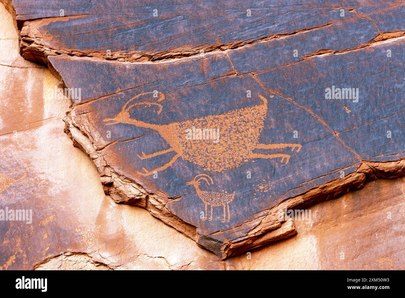 Incisioni rupestri della cultura Anasazi presso Sun's Eye, Monument Valley Navajo Tribal Park, Utah, USA. Foto Stock