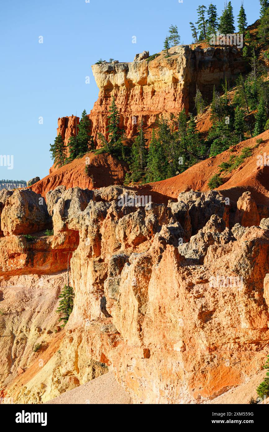 Dettagli di rocce arancioni e alberi verdi sulla scogliera del Bryce Canyon National Park Foto Stock