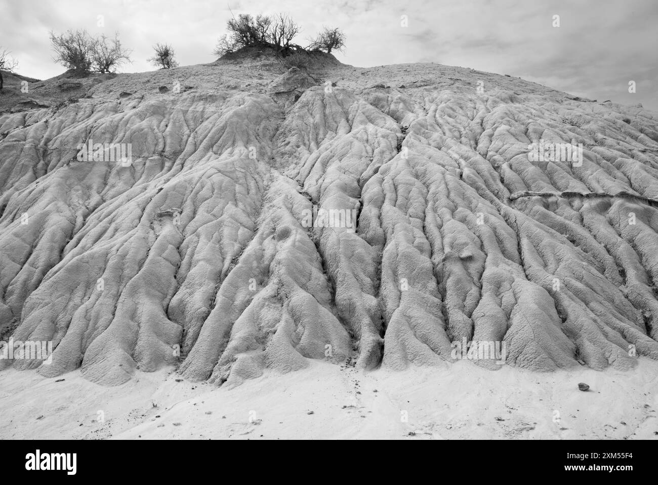 Erosioni di arenaria dall'aspetto spettacolare nel Theodore Roosevelt Nastional Park, Medora, North Dakota, Stati Uniti Foto Stock
