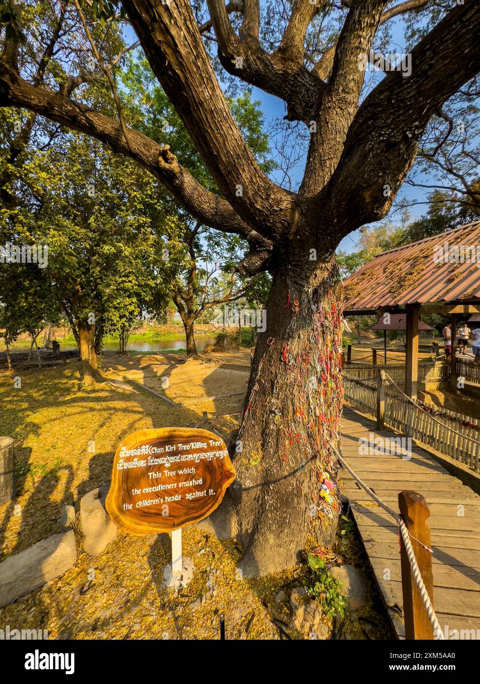 L'albero della morte, dedicato a coloro che furono uccisi durante il conflitto dei Khmer rossi a Choueng Ek, Phnom Pehn, Cambogia. Foto Stock