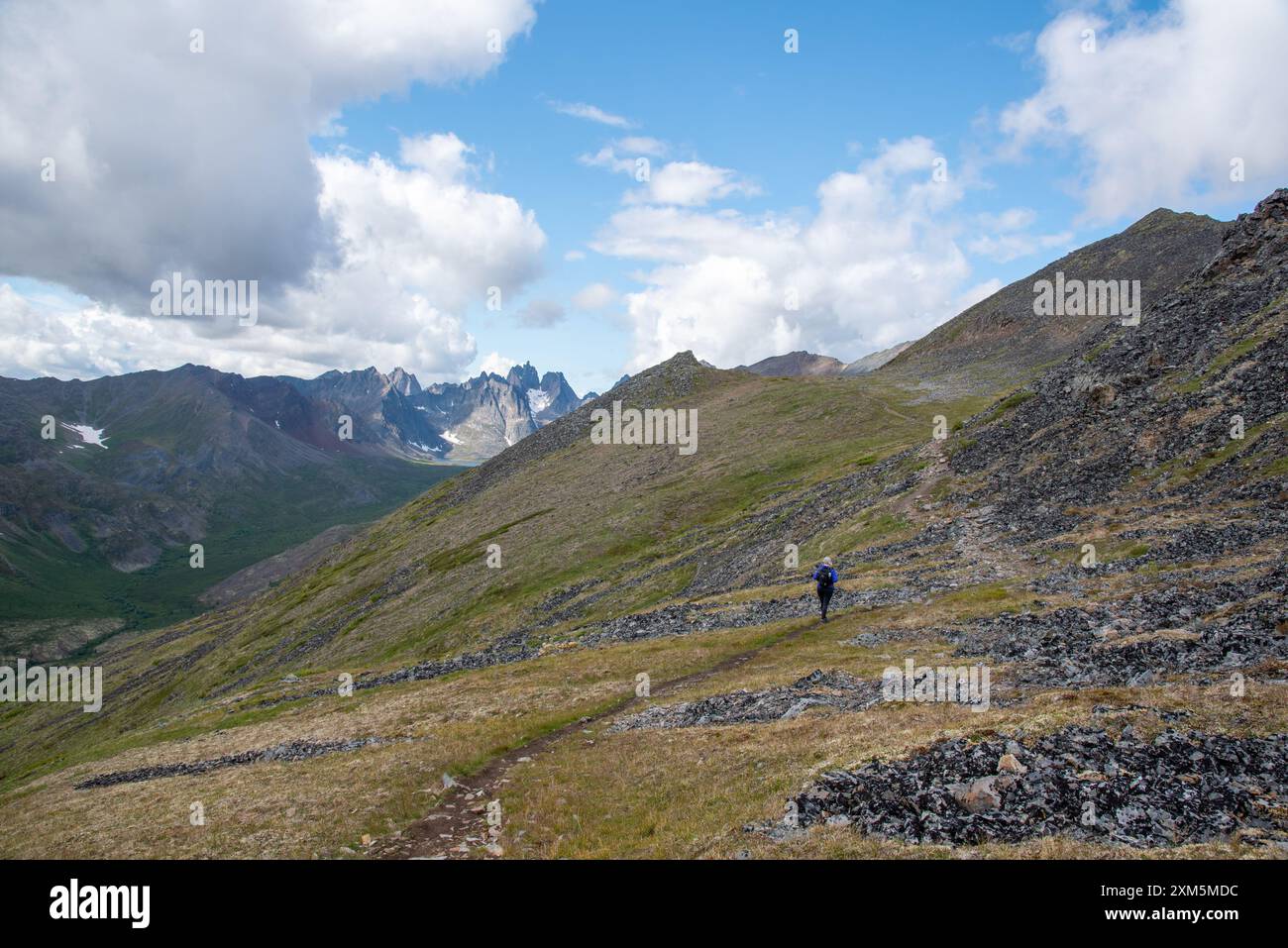 Donna che fa un'escursione nel Tombstone Territorial Park in estate con vista sulla natura selvaggia circostante nel paesaggio artico del territorio dello Yukon, Canada Foto Stock