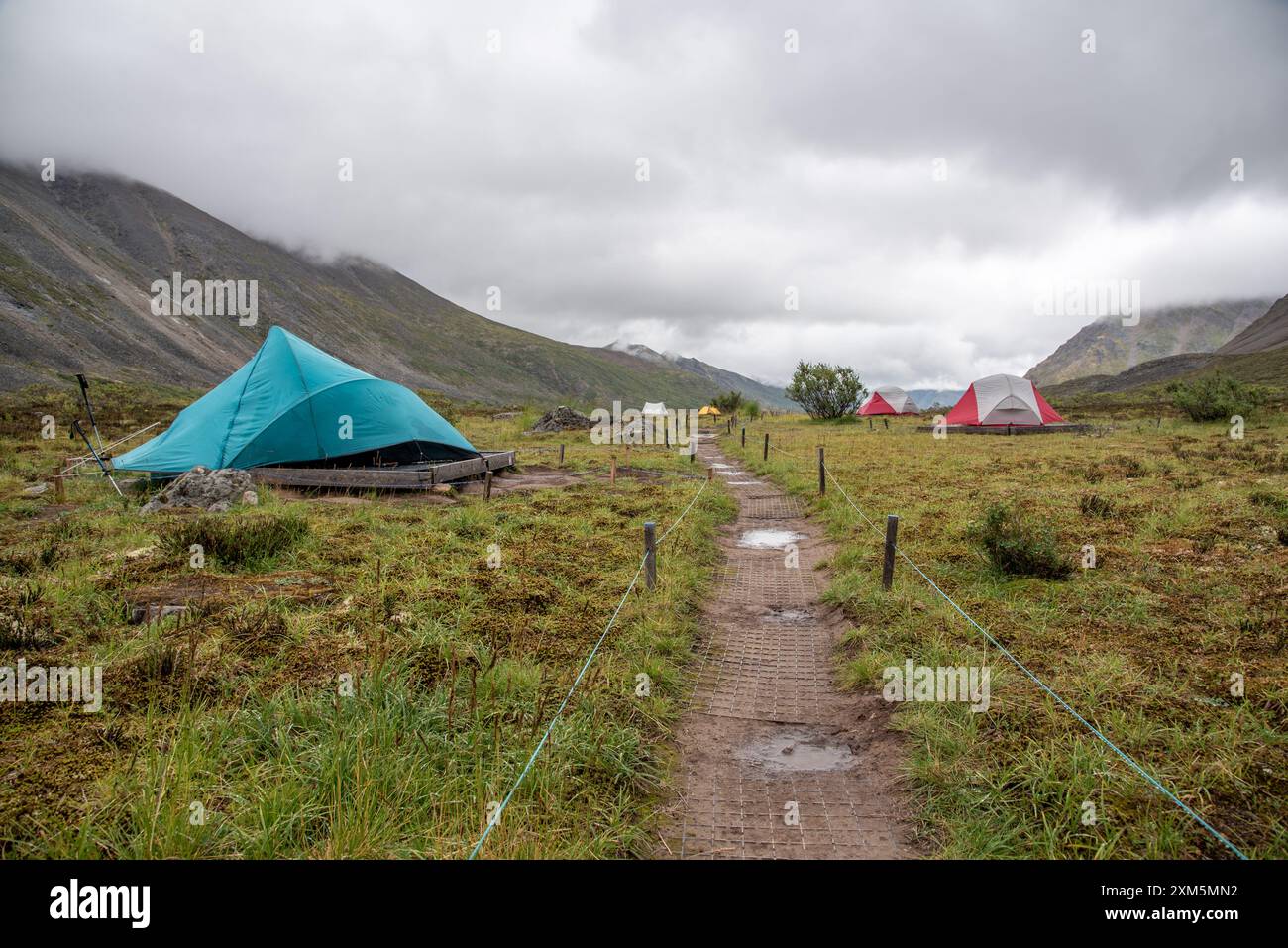 Viste dal territorio di Yukon durante l'estate dal campeggio Grizzly Lake con tende, campeggiatori e incredibili vette di montagna e viste sullo sfondo. Foto Stock