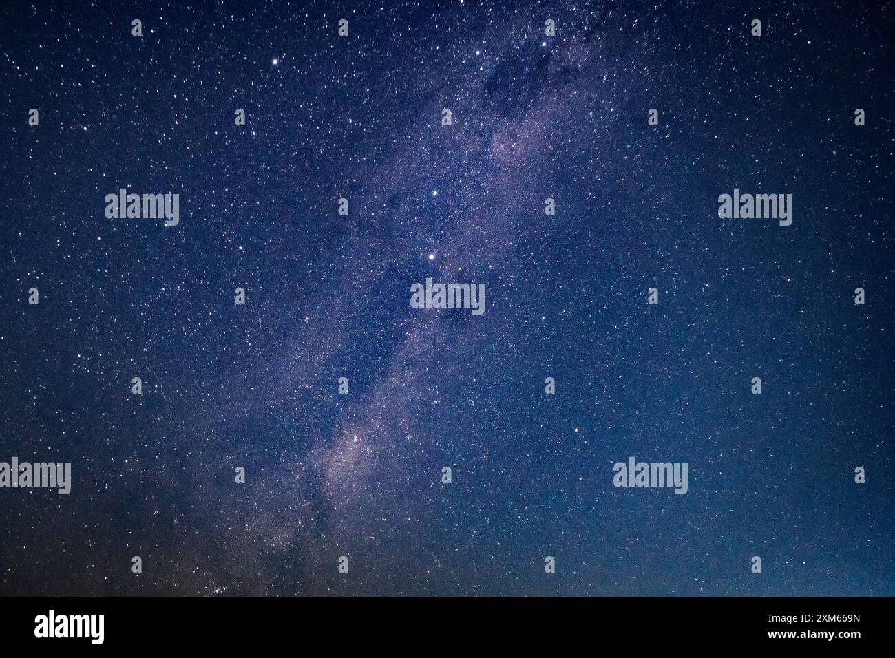 Via Lattea sopra la Sunshine Coast Foto Stock