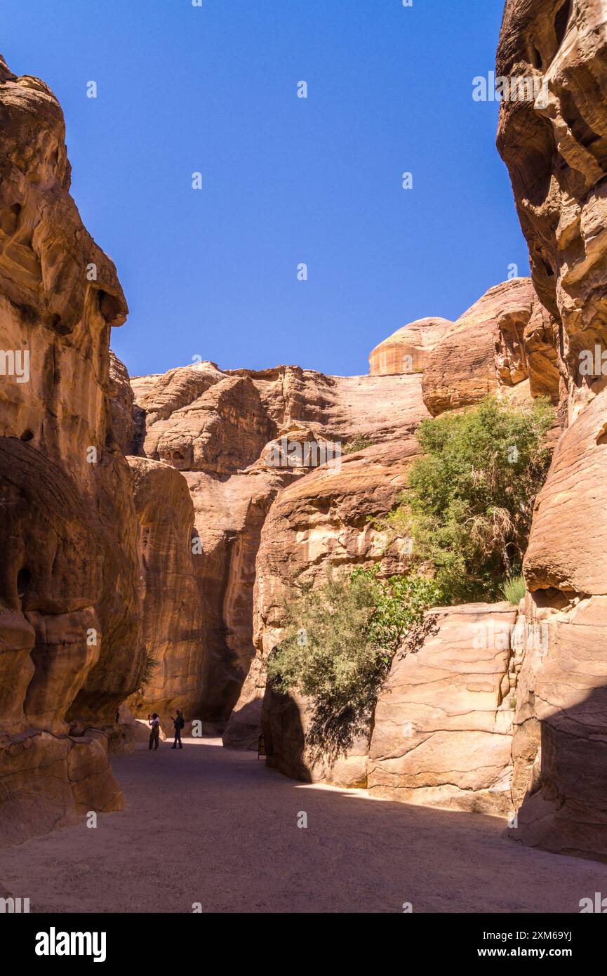 Il Siq si avvicina al canyon di Petra, in Giordania, sito patrimonio dell'umanità dell'UNESCO Foto Stock
