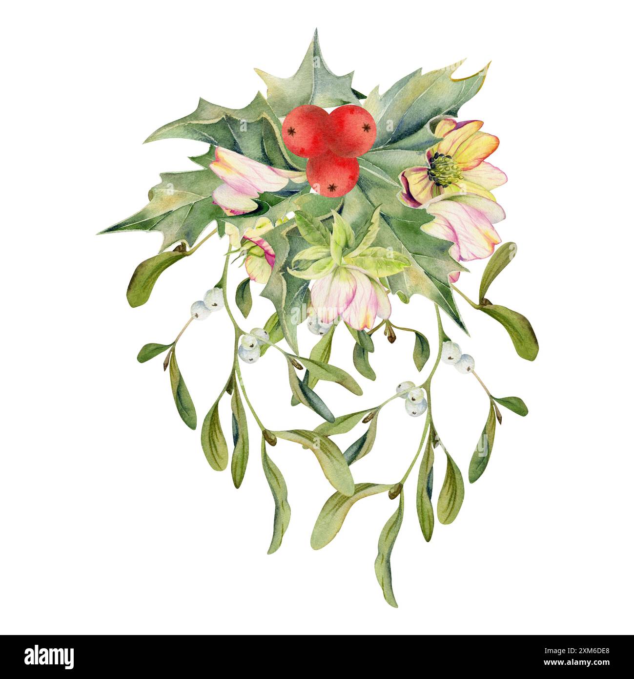Holly lascia bacche, fiori di ciglia, vischio. Illustrazione ad acquerello disegnata a mano, bouquet isolato su bianco. Natale, felice anno nuovo, noel Foto Stock