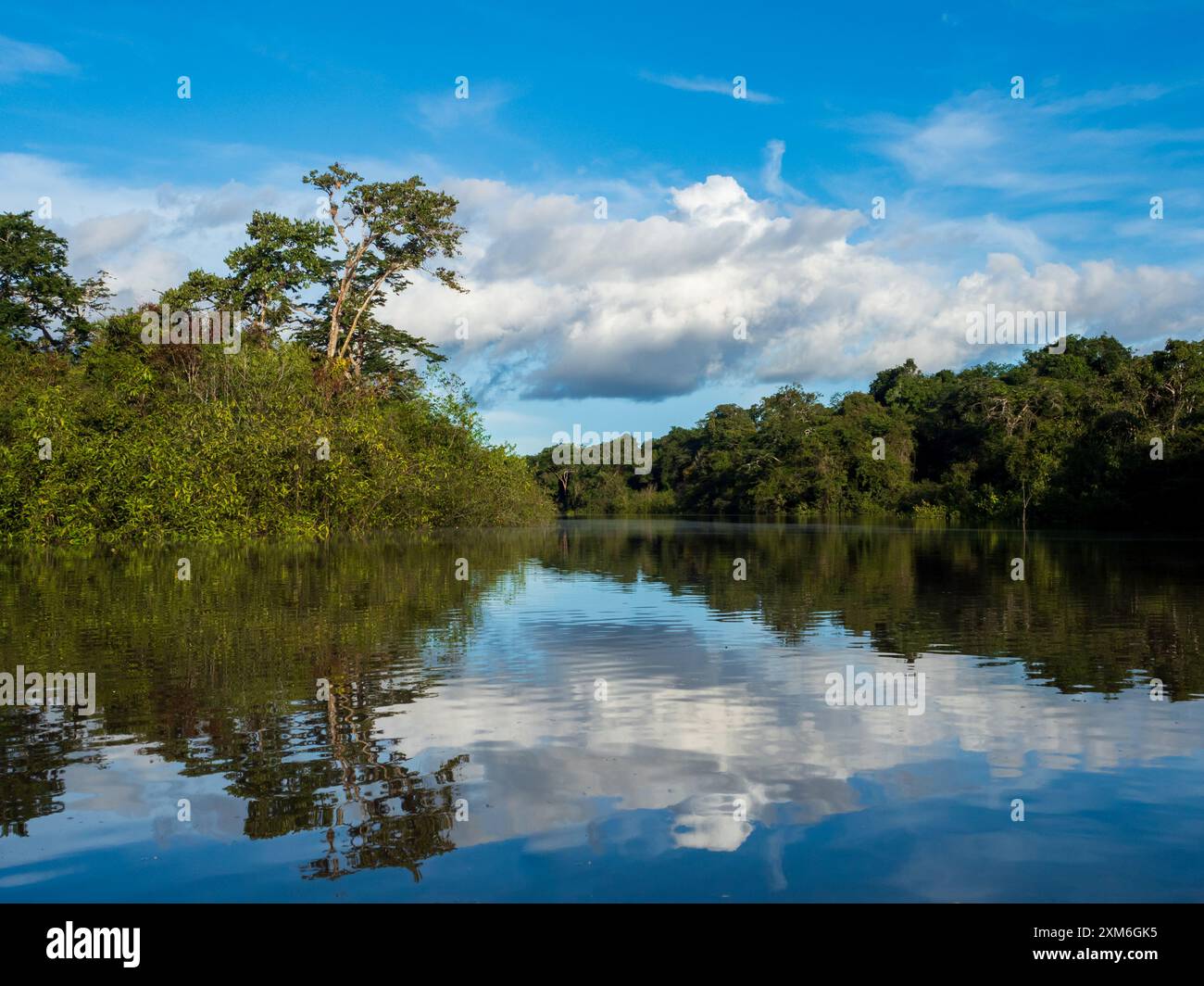Vista della Laguna di Coati vicino al fiume Javari, tributario del fiume Rio delle Amazzoni, Amazonia. Selva sul confine del Brasile e Perù. Sud America. Foto Stock