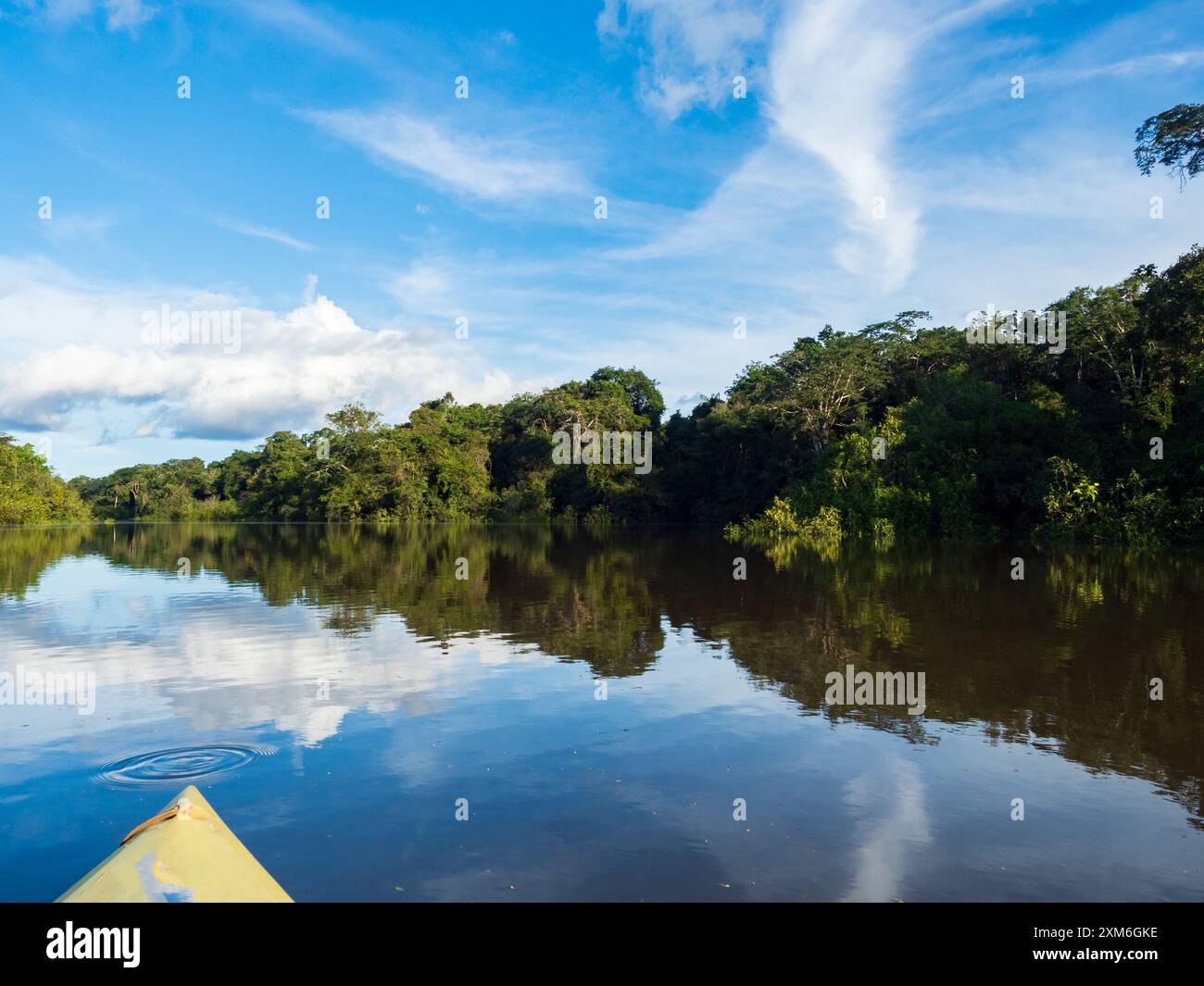 Vista della laguna di Coati vista dal kayak vicino al fiume Javari, l'affluente del Rio delle Amazzoni, l'Amazzonia. Selva al confine tra Brasile e Perù. S Foto Stock