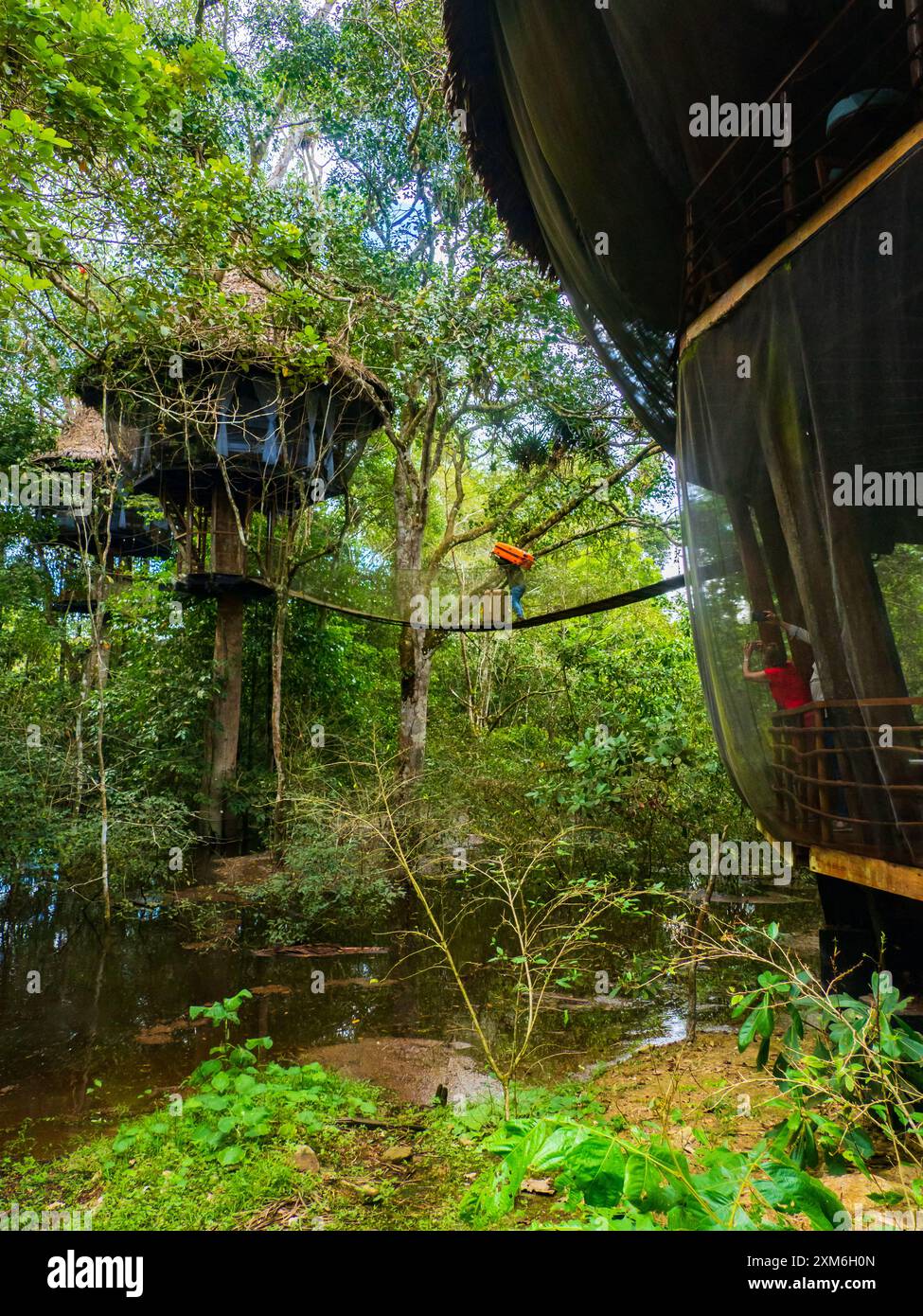 Alloggi glamping nella foresta pluviale Amazzonica. Treehouse in legno, Foresta pluviale Amazzonica, Amazzonia, Pacaya Samiria National Reserve, Perù, Sud America. Foto Stock