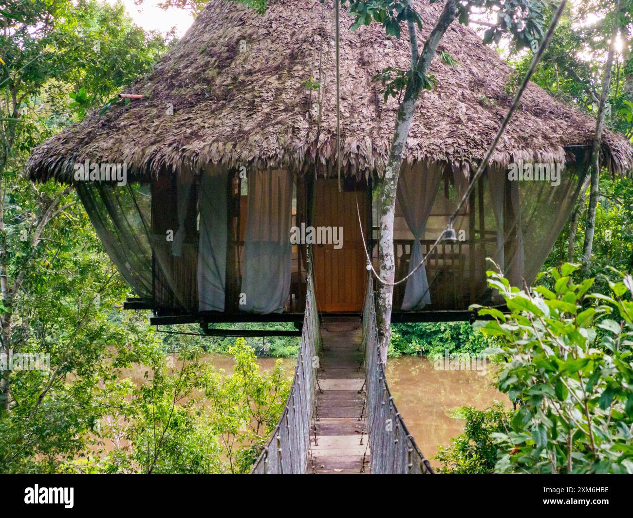 Alloggi glamping nella foresta pluviale Amazzonica. Treehouse in legno, Foresta pluviale Amazzonica, Amazzonia, Pacaya Samiria National Reserve, Perù, Sud America. Foto Stock