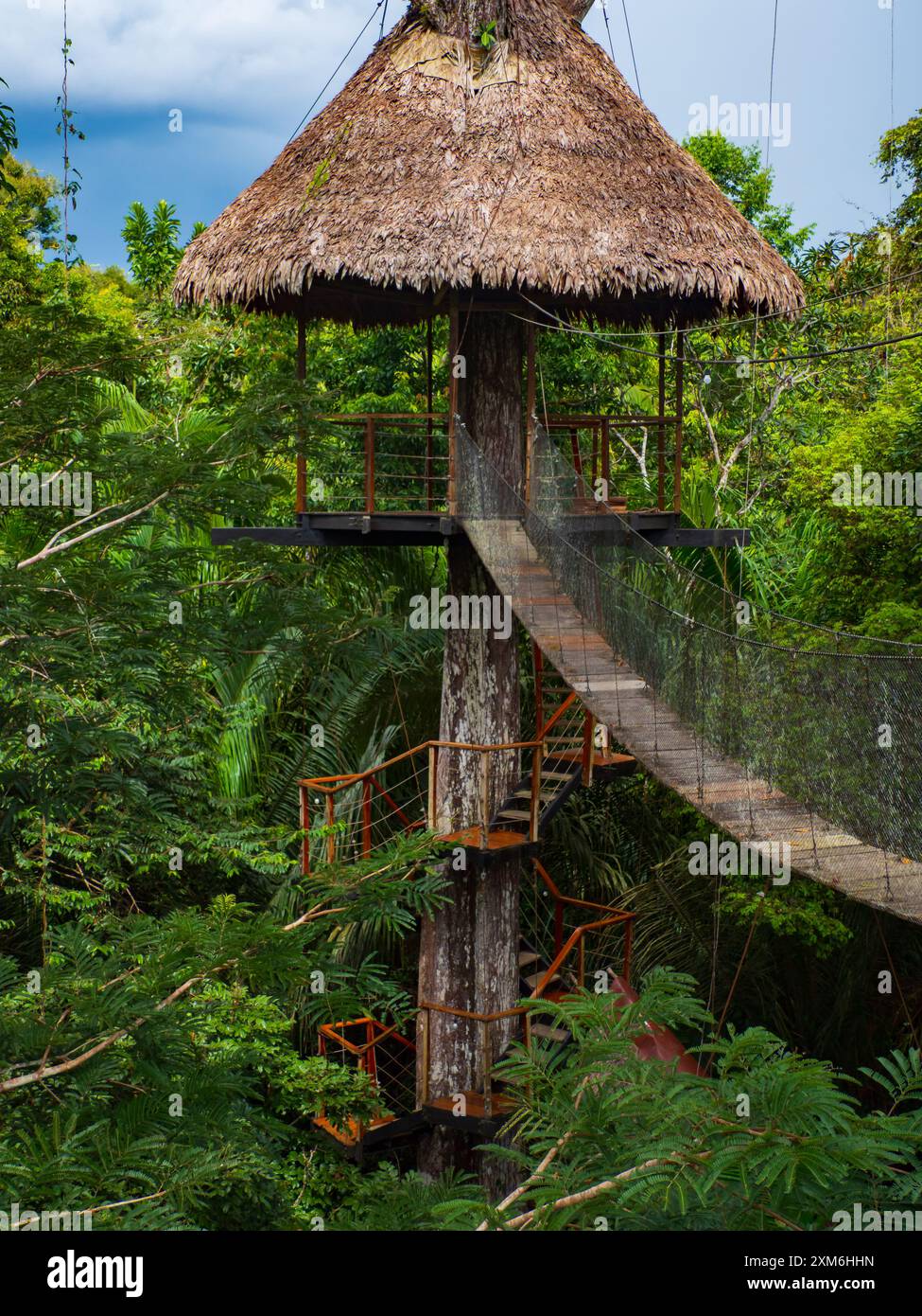 Alloggi glamping nella foresta pluviale Amazzonica. Treehouse in legno, Foresta pluviale Amazzonica, Amazzonia, Pacaya Samiria National Reserve, Perù, Sud America. Foto Stock