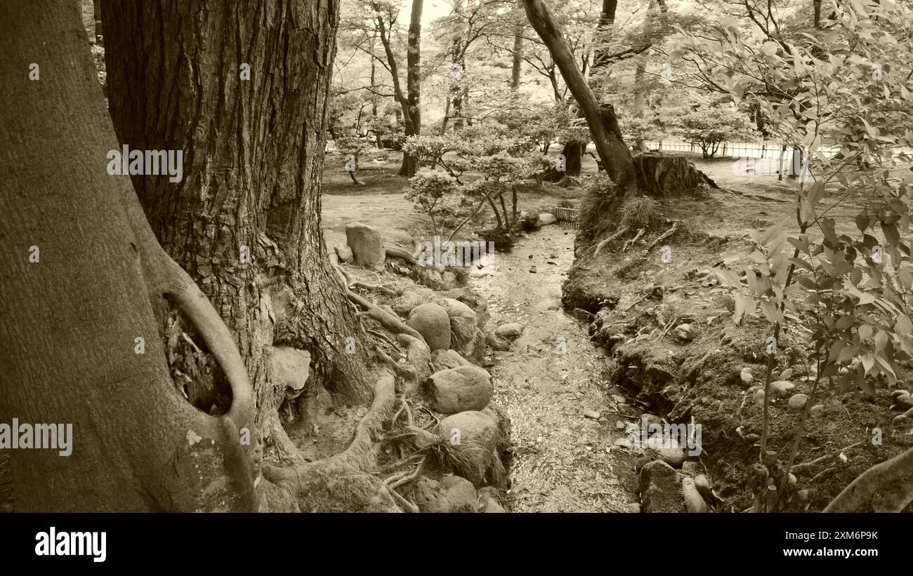 Kenrokuen Garden: Il giardino paesaggistico più famoso del Giappone Foto Stock