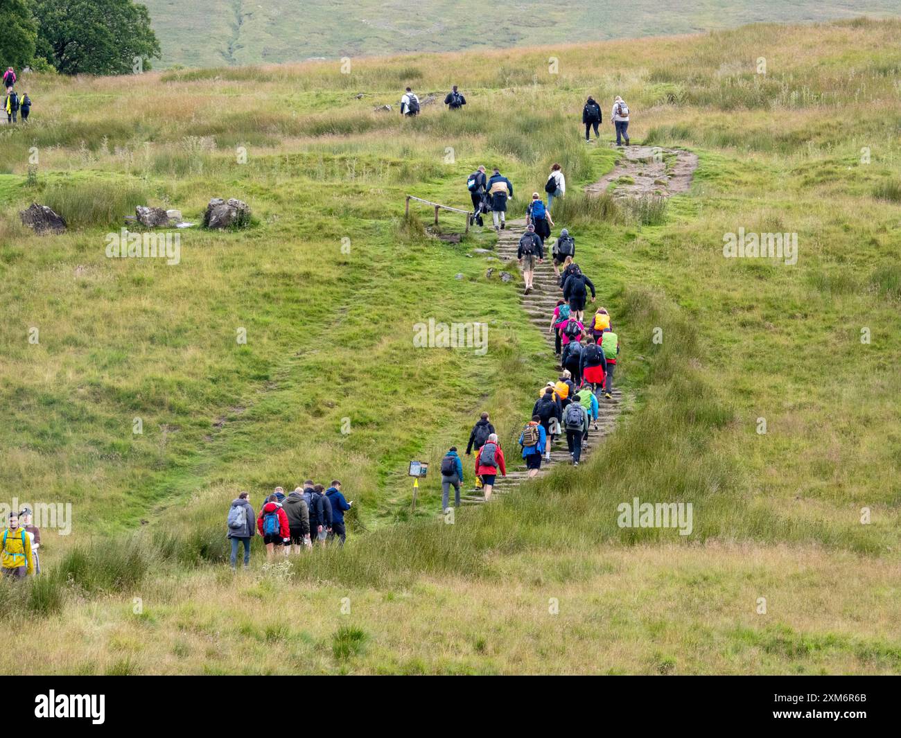 Un gruppo di escursionisti che fanno un'escursione benefica Three Peaks Walk a Whernside, Yorkshire Dales, Regno Unito. Foto Stock