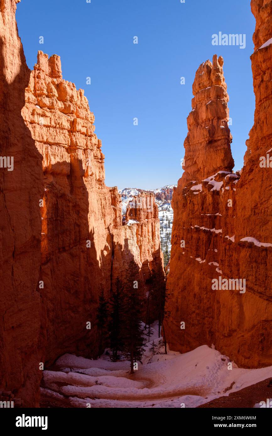 Una vista mozzafiato dei tornanti Navajo del Bryce Canyon nello Utah, con aspri hoodoos arancioni e sentieri innevati sotto un vivace cielo blu. Foto Stock