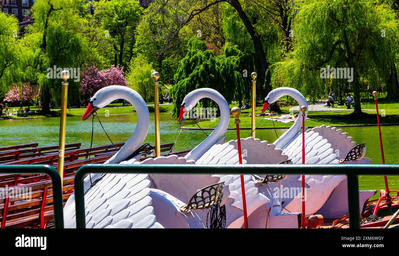 Boston, Massachusetts, Stati Uniti - 7 maggio 2024: Primo piano di tre Swan Boats vuote schierate sulla laguna in un giorno di primavera nel Boston Public Garden. Selez Foto Stock