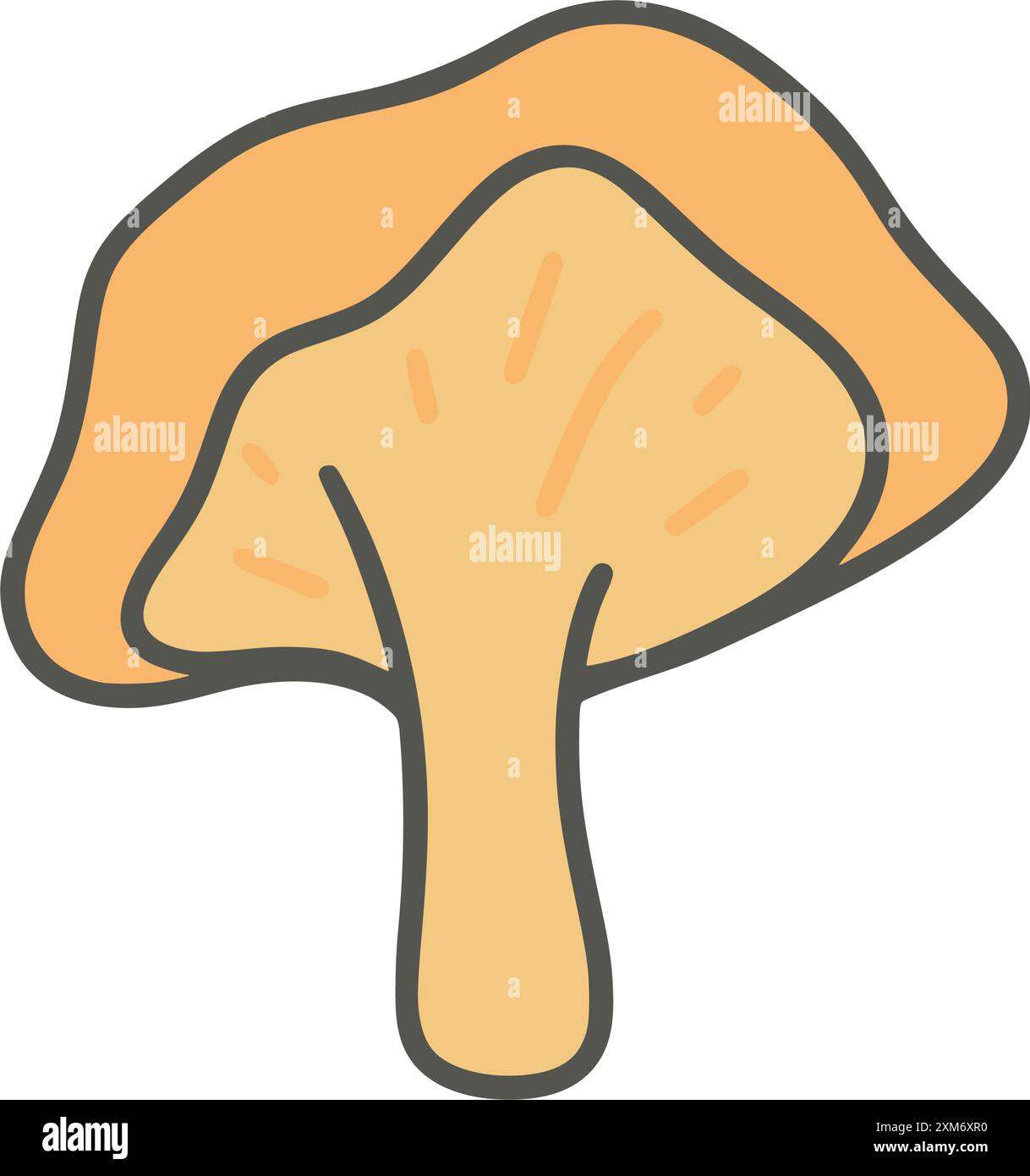 Illustrazione a forma di chiocciola a fungo a baldacchino stile di schizzo. Funghi stagionali commestibili della foresta, grafica vettoriale Illustrazione Vettoriale