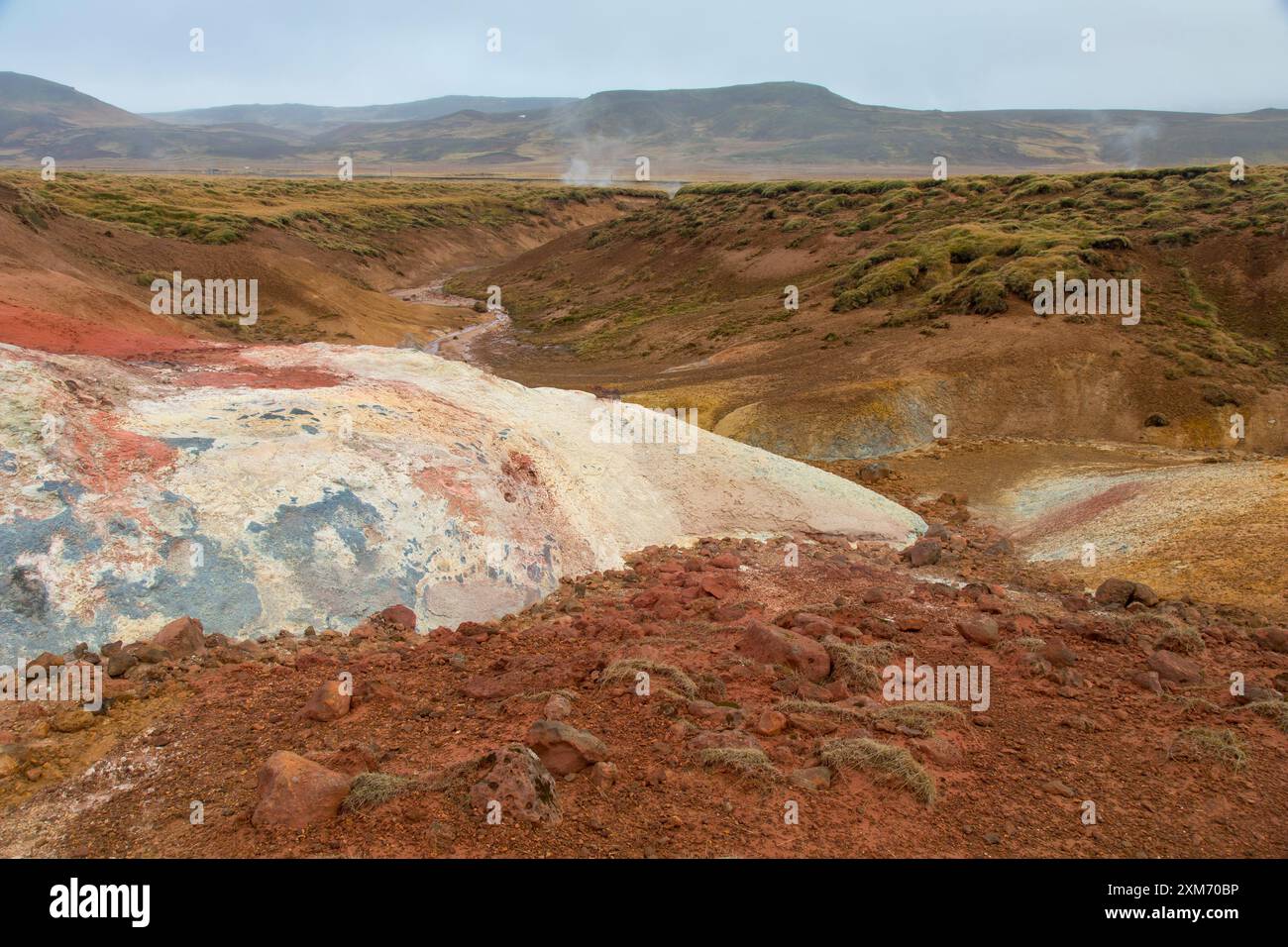 Area ad alta temperatura Seltun, Krysuvik, Islanda Foto Stock