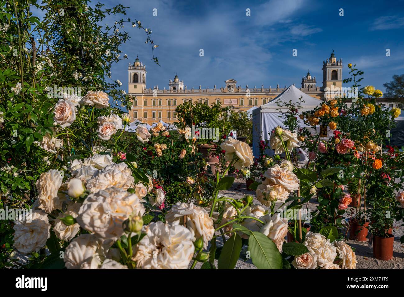 Mostra giardino nel parco, Palazzo Ducale, Palazzo Ducale Reggia di Colorno, Colorno, Provincia di Parma Emilia-Romagna, Italia, Europa Foto Stock