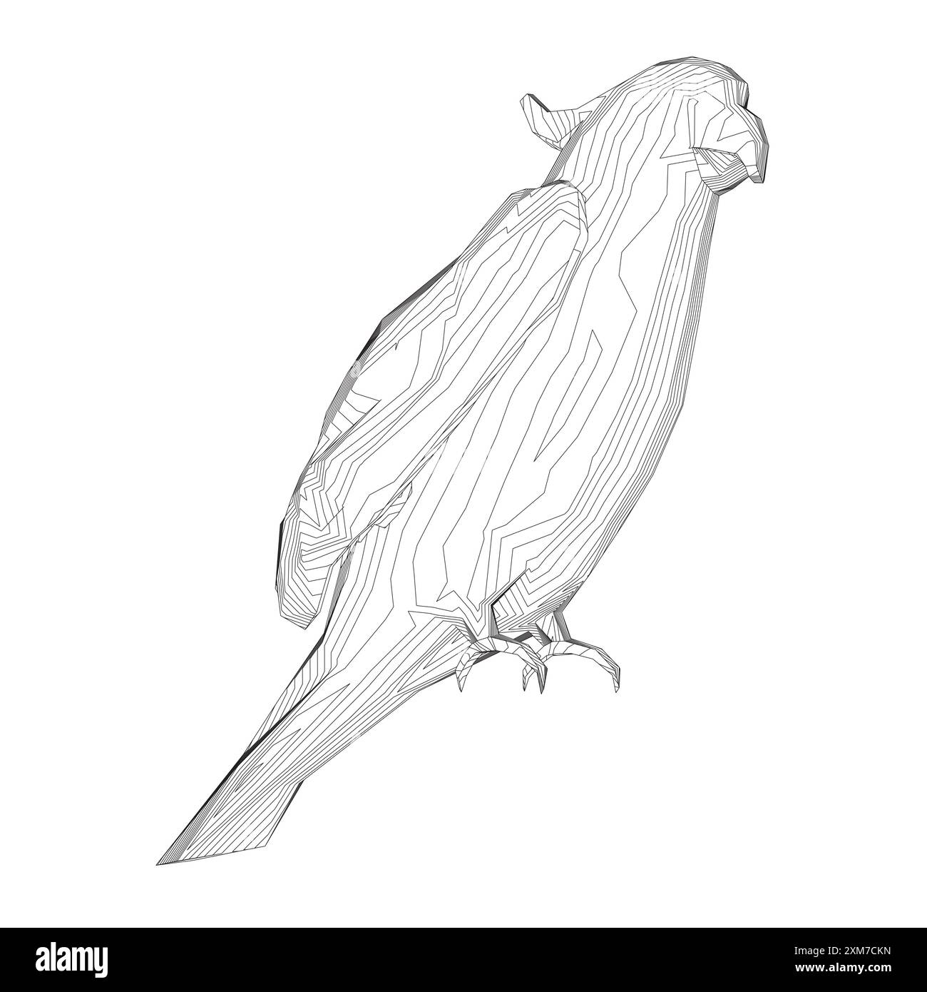 Pagina da colorare in bianco e nero. Icona pappagallo animali. Illustrazione vettoriale. Icona vettoriale pappagallo. Illustrazione di uccelli selvatici. Illustrazione Vettoriale