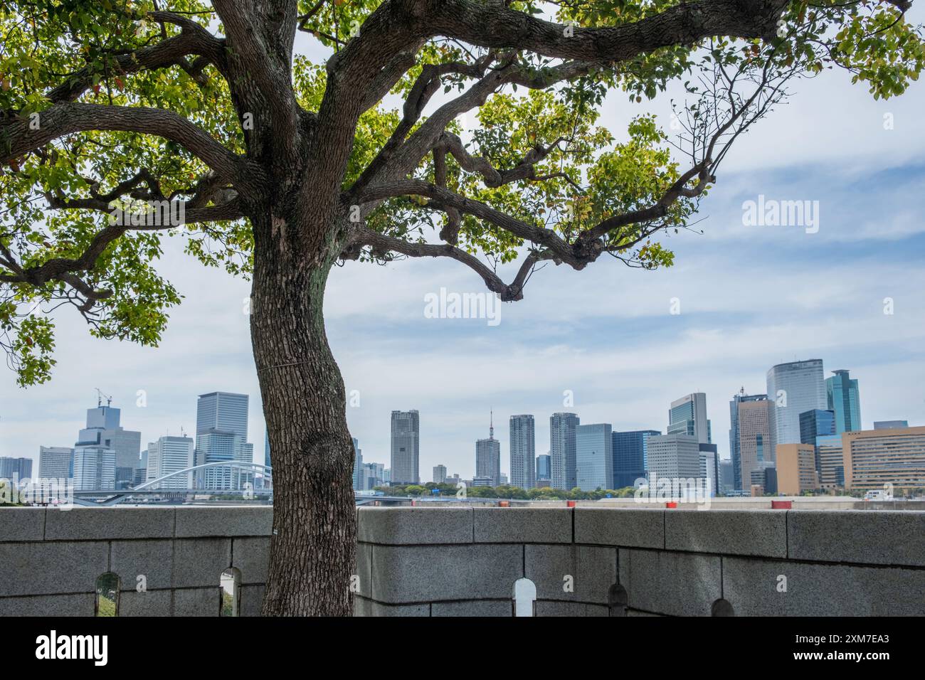 Tokyo, Giappone. Vista dal ponte sul canale fluviale, moderno e alto appartamento e edificio di uffici sullo sfondo Foto Stock