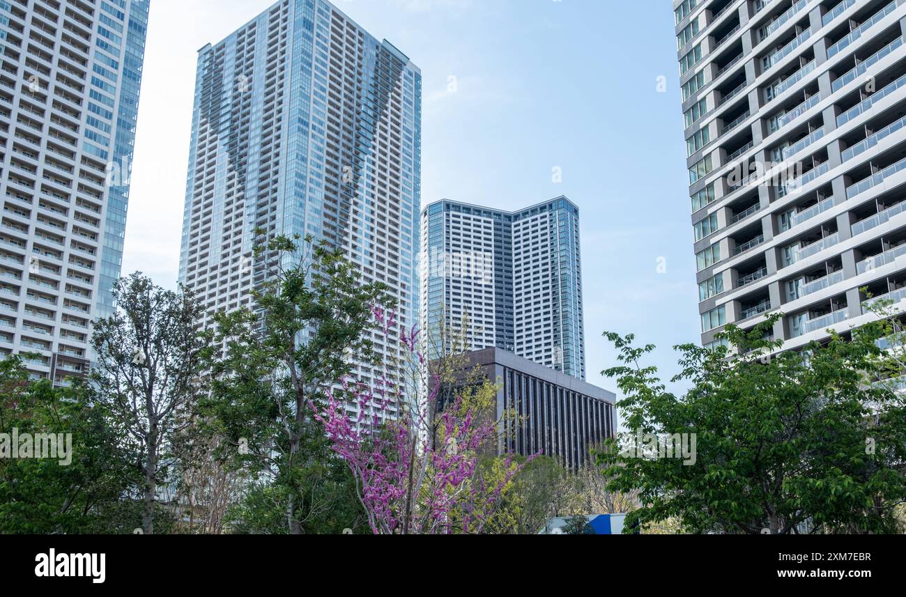 Grattacieli della città di Tokyo, Giappone. Moderni e alti edifici di appartamenti e uffici contro il cielo blu Foto Stock