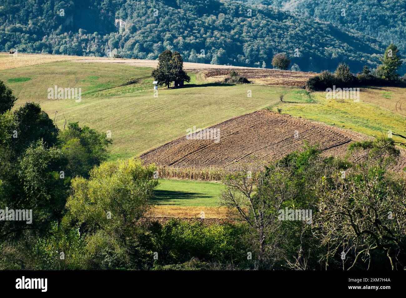 Paesaggio rurale autunnale a Sumadija, Serbia centrale Foto Stock