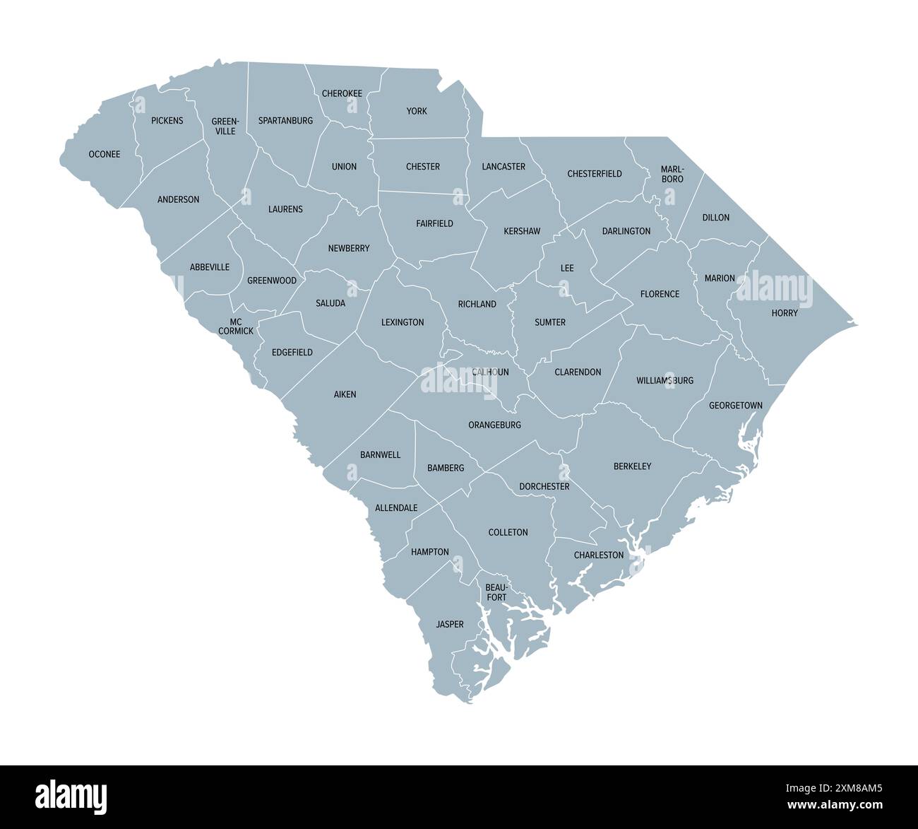 Contee della Carolina del Sud, mappa politica grigia con i confini e i nomi delle contee. Stato nella regione sud-orientale degli Stati Uniti. Foto Stock