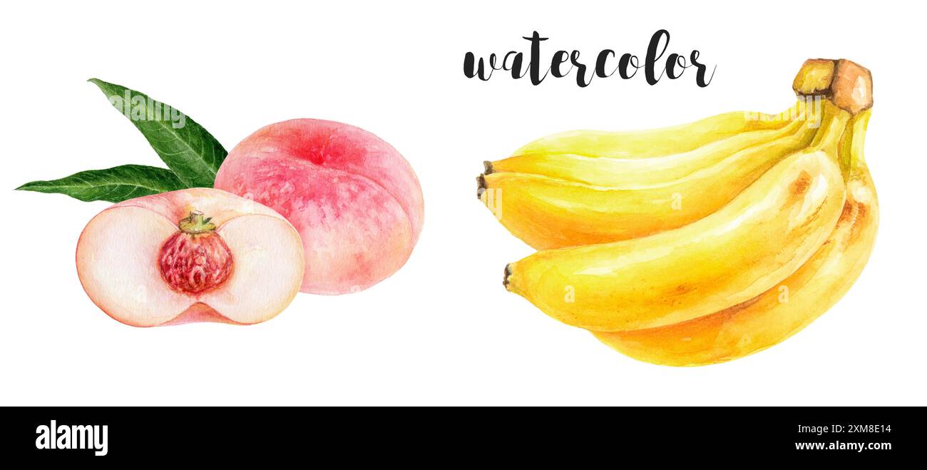 Acquerello illustrazione di pesca e banane frutta fresca estiva, colorata e rinfrescante Foto Stock Acquerello illustrazione di pesca e banane frutta fresca estiva, colorata e rinfrescante Foto Stock