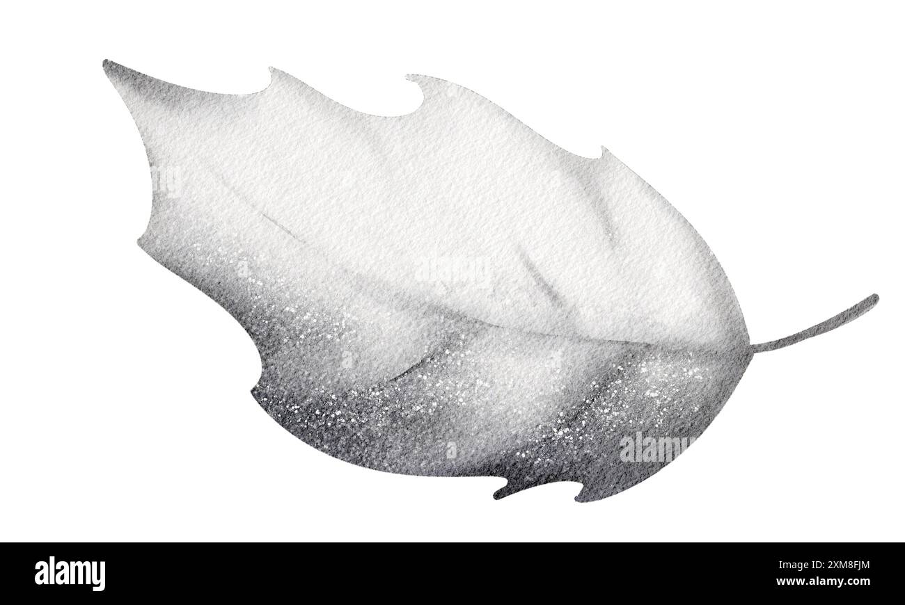 Foglia di agrifoglio acquerello. Elemento vegetale simbolo di Natale. Illustrazione botanica primo piano su sfondo bianco. Design di packaging, etichette e stampe. Foto Stock