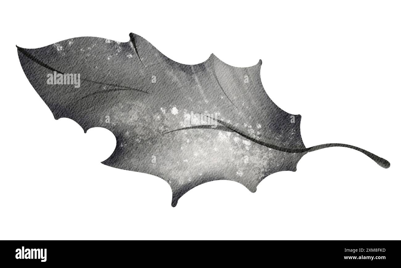 Foglia di agrifoglio acquerello. Elemento vegetale simbolo di Natale. Illustrazione botanica primo piano su sfondo bianco. Design di packaging, etichette e stampe. Foto Stock