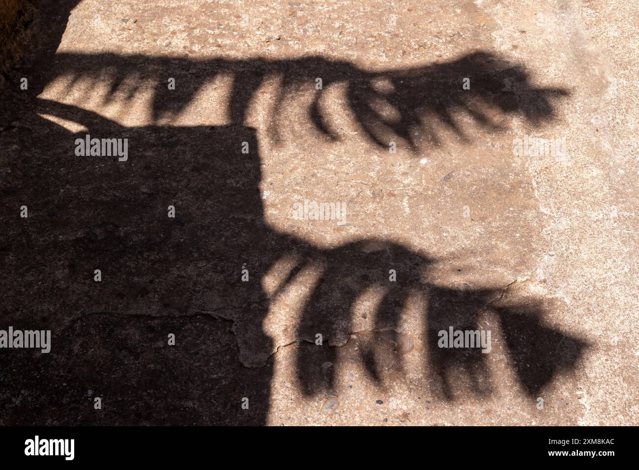 Giorno di sole in primavera. L'ombra di palme di banana lascia su un muro. Percorso delle banane con le sue fattorie e la tipica varietà di frutti dolci. Madalena sì Foto Stock