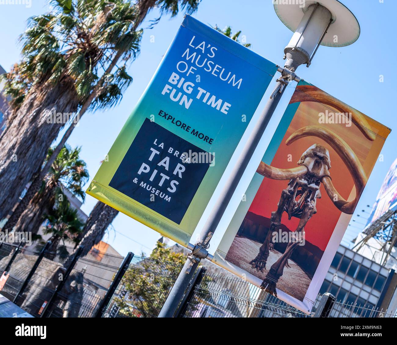 Los Angeles, CA, Stati Uniti: Luglio 26 2024: Primo piano di un cartello su un palo della lampada per la Brea Tar Pits and Museum di Los Angeles, CALIFORNIA. Foto Stock