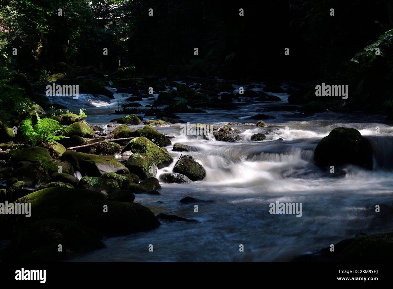 Fiume Wesenitz, Liebethaler Grund, parte del Malerweg, estate, Svizzera sassone, Sassonia, Germania Foto Stock