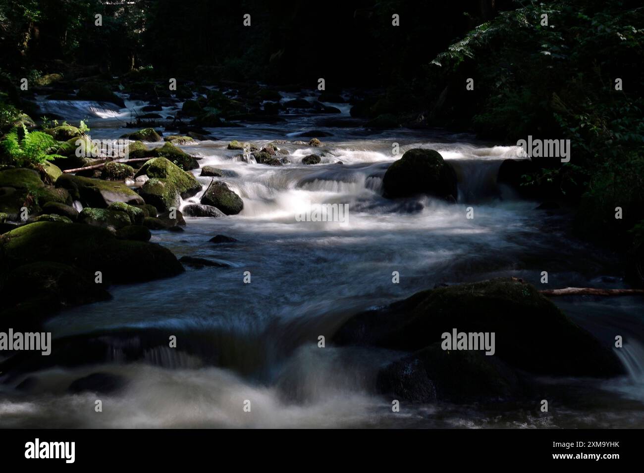 Fiume Wesenitz, Liebethaler Grund, parte del Malerweg, estate, Svizzera sassone, Sassonia, Germania Foto Stock