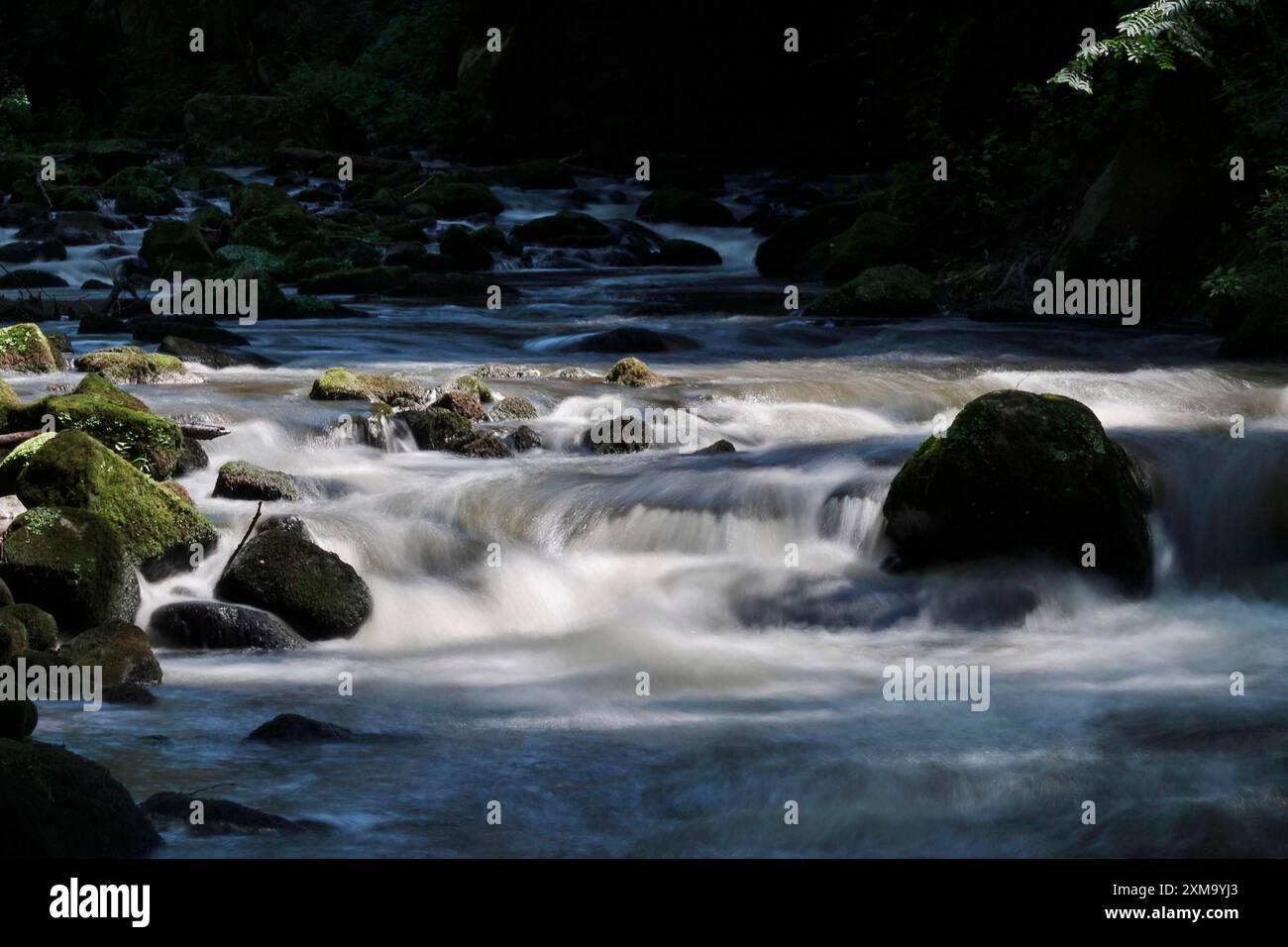 Fiume Wesenitz, Liebethaler Grund, parte del Malerweg, estate, Svizzera sassone, Sassonia, Germania Foto Stock
