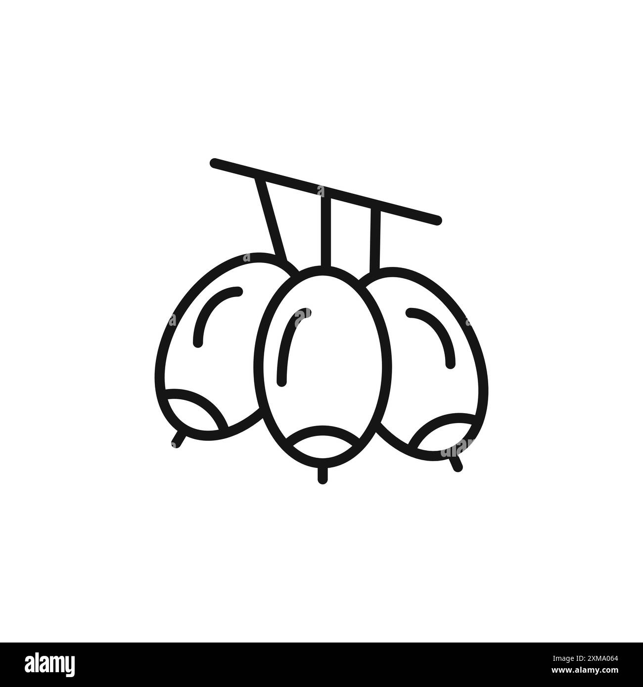 La collezione con il contorno dell'icona Jujujube o il set con il contorno bianco e nero Illustrazione Vettoriale