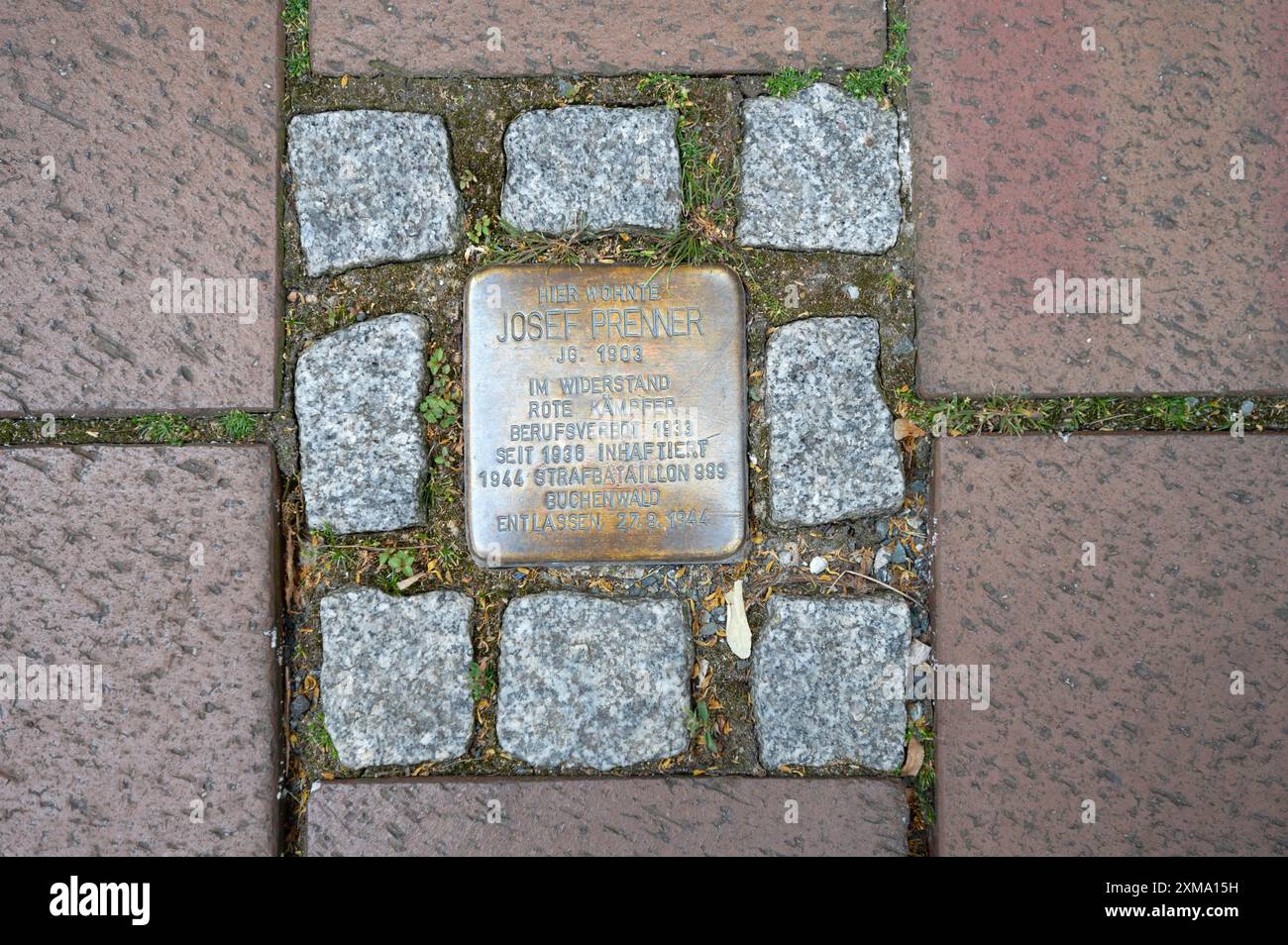 Stolperstein, Memorial to Killed Jewish Companies in the Nazi era 1933-1945, Markusplatz 1, Bamberga, Oberfranen, Baviera, Germania Foto Stock