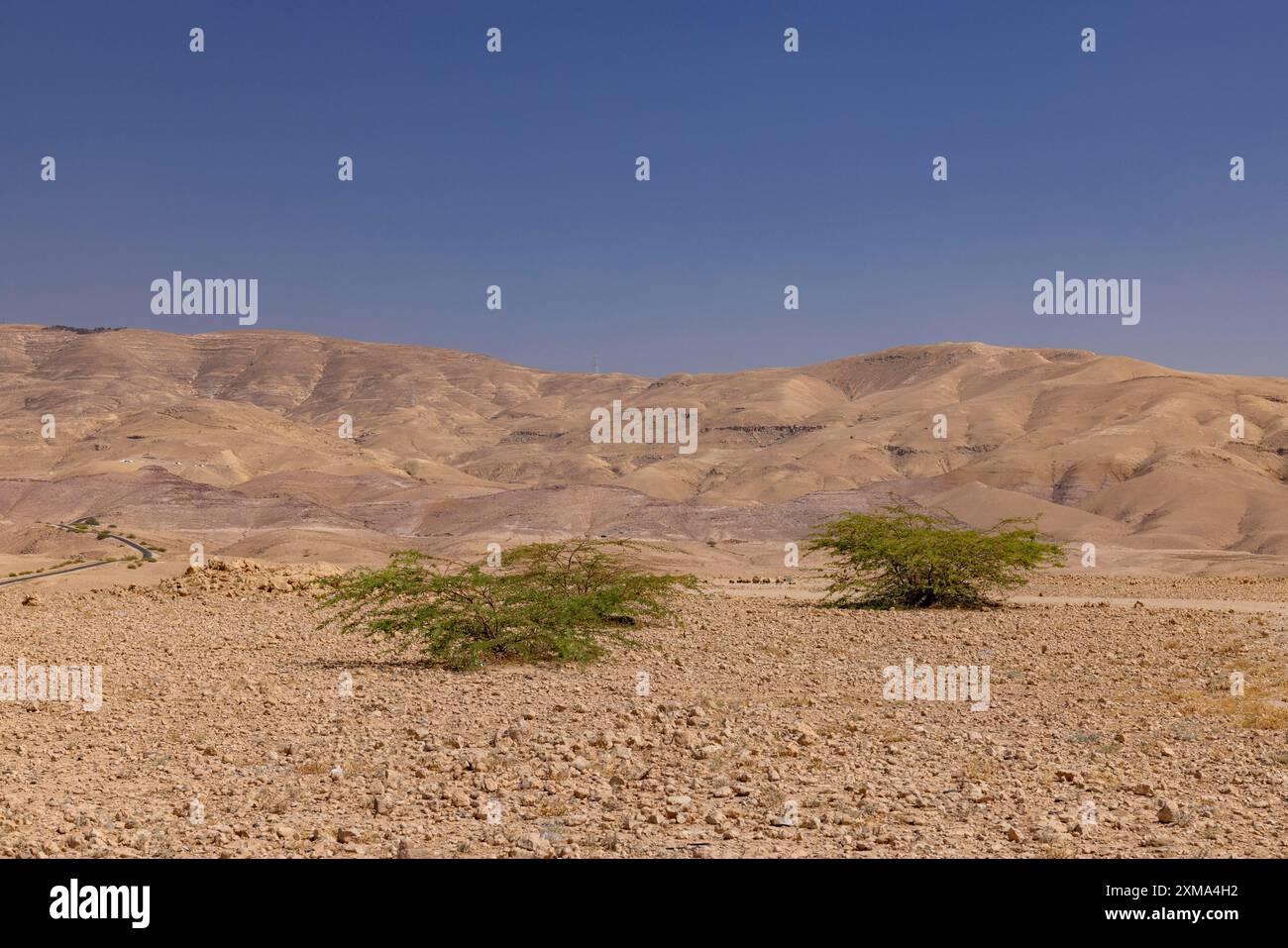 Vista sul monte Nebo, montagna Santa, montagne AbÇŽrim, Giordania Foto Stock