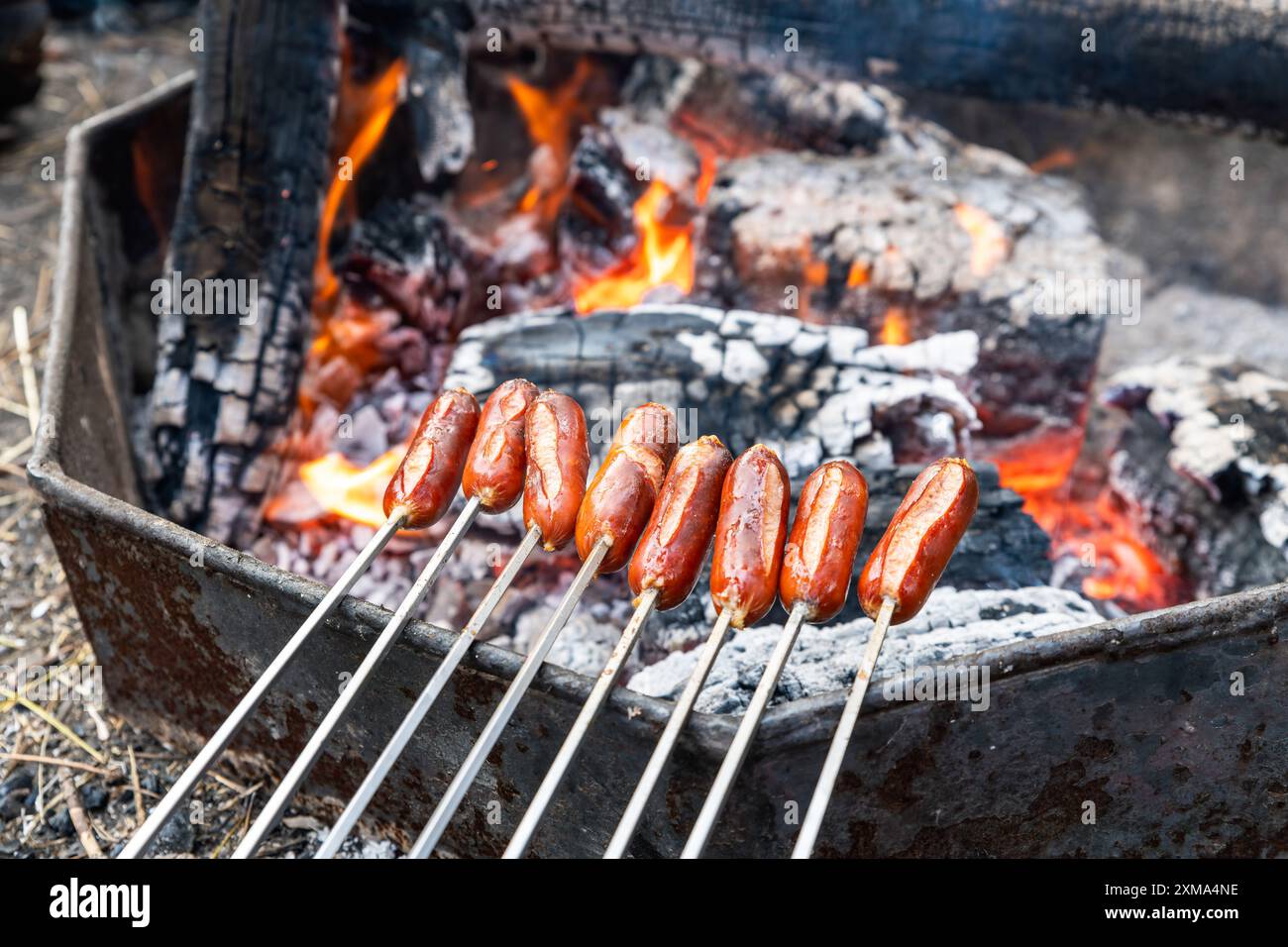 Salsicce per barbecue da campeggio cucinate su spiedini a bastone nel campeggio di Kuitpo Forest, Australia meridionale Foto Stock