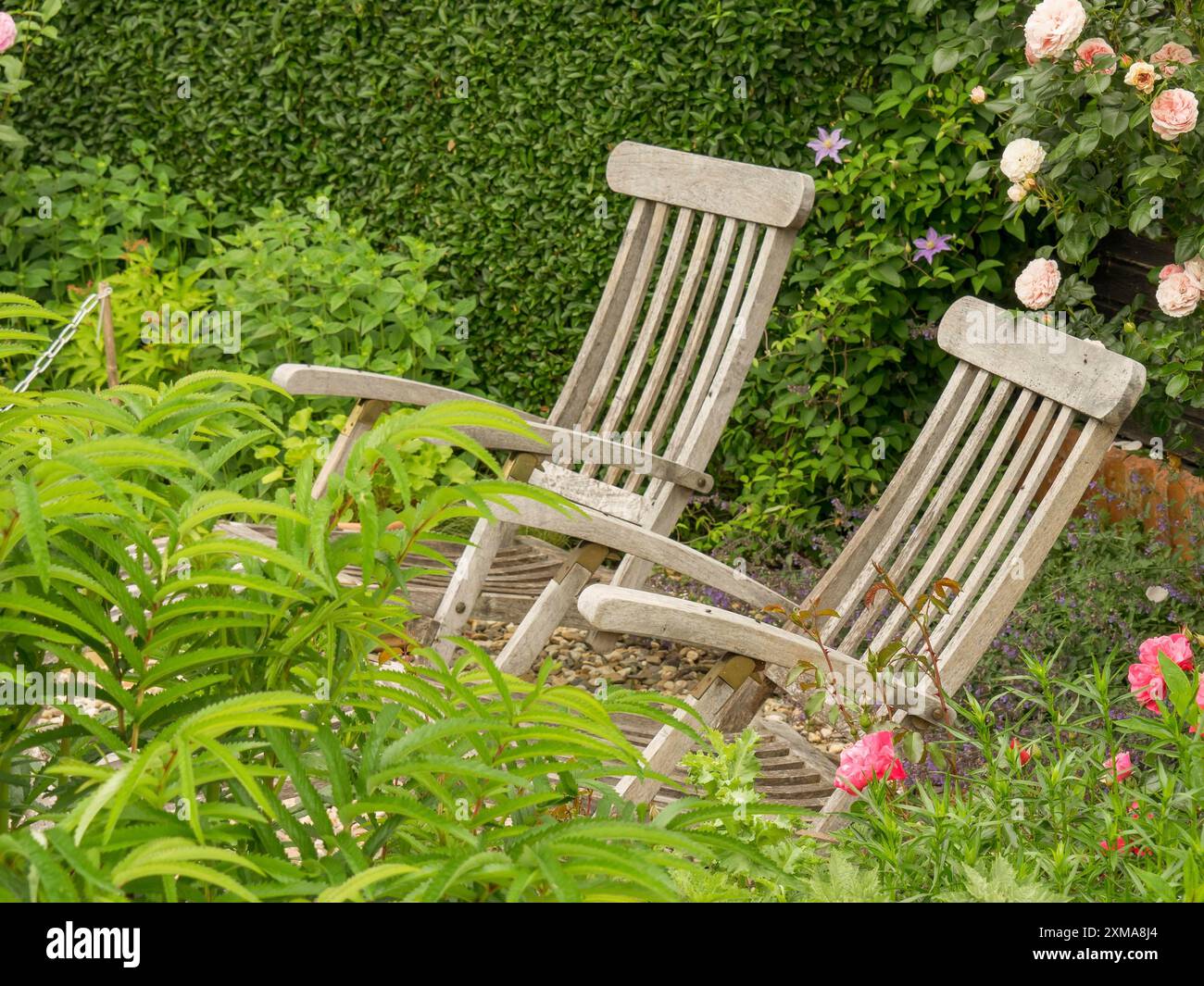 Due sdraio in legno in un giardino verde, circondato da fiori fioriti e vegetazione lussureggiante, borken, vestfalia, germania Foto Stock