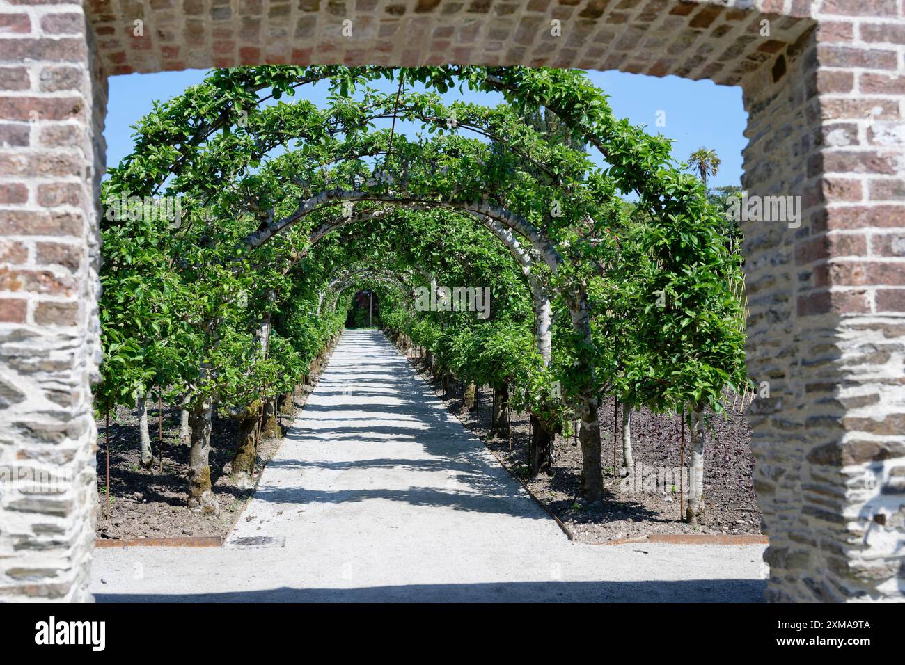 Vicolo, Kitchen Garden, Lost Gardens of Heligan, Pentewan, Inghilterra, Gran Bretagna Foto Stock