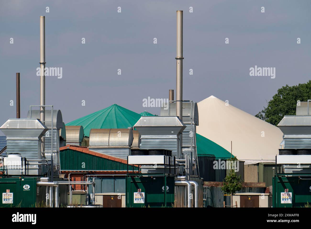 Impianto di produzione di biogas, impianti di cogenerazione di energia elettrica, impianto di stoccaggio del gas a cupola, Rietberg, Renania settentrionale-Vestfalia, Germania Foto Stock