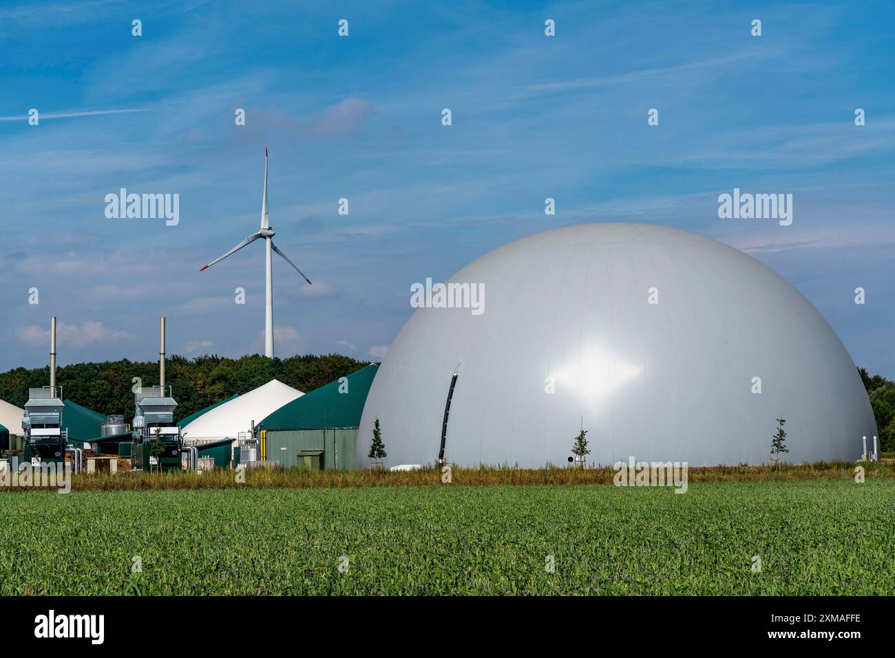 Impianti di produzione di biogas, impianti di produzione combinata di calore ed energia elettrica, per la produzione di energia, stoccaggio di gas a cupola, centrali eoliche, Rietberg, Renania settentrionale-Vestfalia Foto Stock