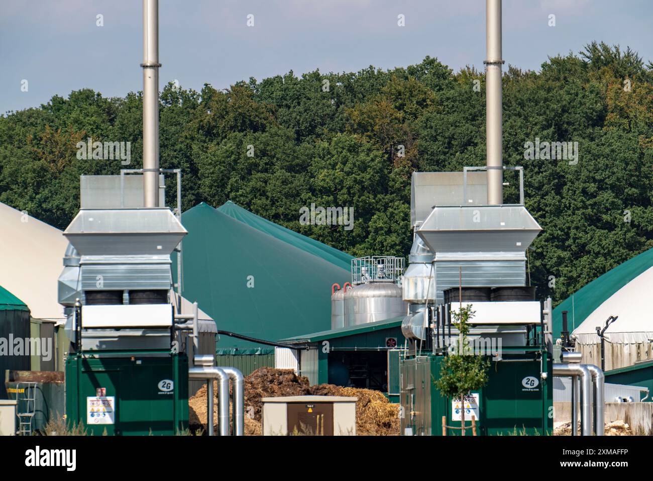 Impianto di produzione di biogas, impianti di cogenerazione di energia elettrica, impianto di stoccaggio del gas a cupola, Rietberg, Renania settentrionale-Vestfalia, Germania Foto Stock