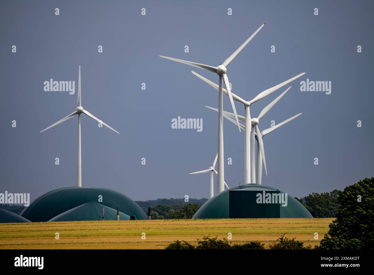 Parco eolico a sud-ovest di Anroechte nel distretto di Soest, vicino al villaggio di Altenmellrich, impianto di biogas, Renania settentrionale-Vestfalia, Germania Foto Stock