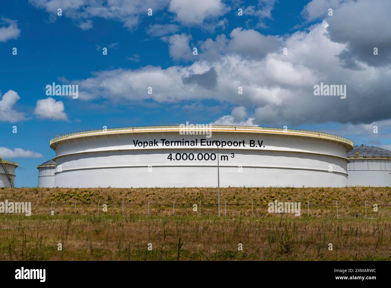 Vopak Terminal Botlek, oltre 190 grandi serbatoi logistici per vari prodotti petroliferi minerali come benzina, paraffina, diesel, biodiesel e vegetali Foto Stock