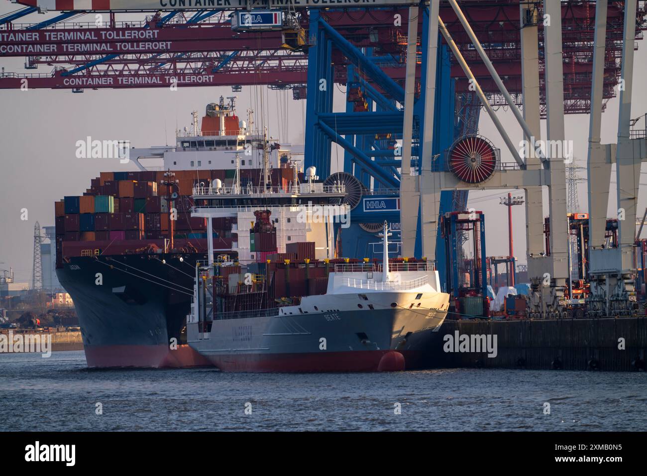 Terminal container Tollerort, le navi container sono caricate e scaricate, uno dei 4 terminal container nel porto di Amburgo, Amburgo, Germania Foto Stock